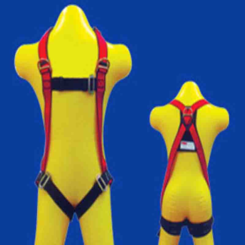 CIG 19453 - Full Body Harness