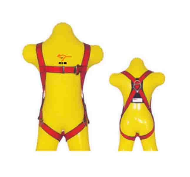 CIG19452 - FULL BODY HARNESS