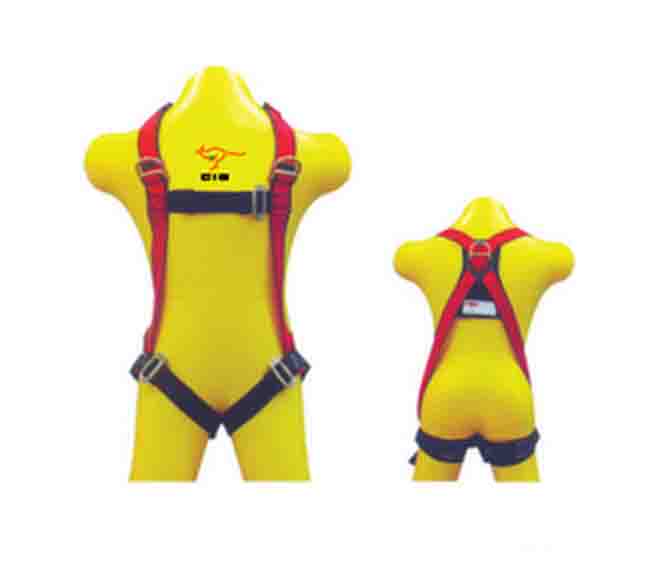 CIG19453S - FULL BODY HARNESS