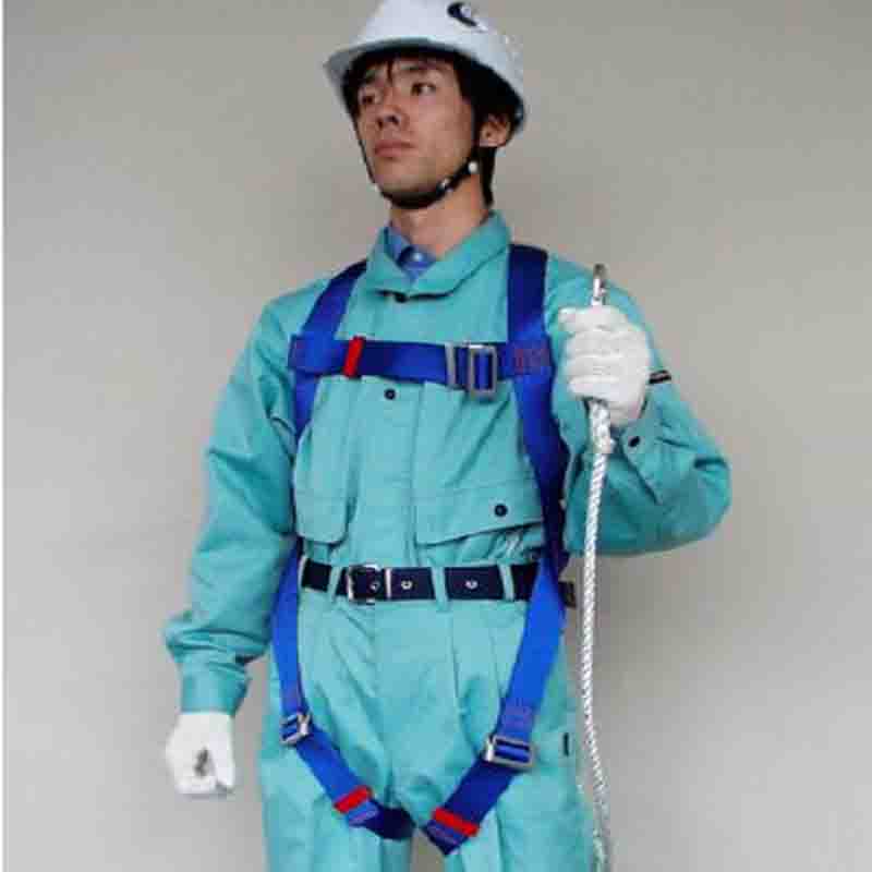 Fuji Denko Body Harness R-500E