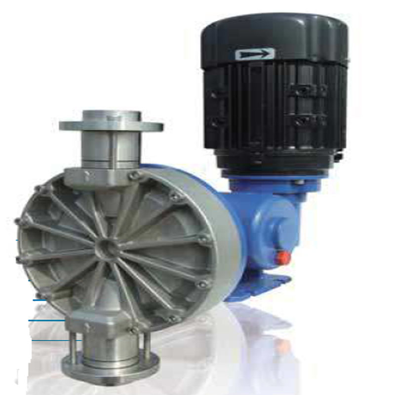 MS1 Series Mechanical Diaphragm Matering