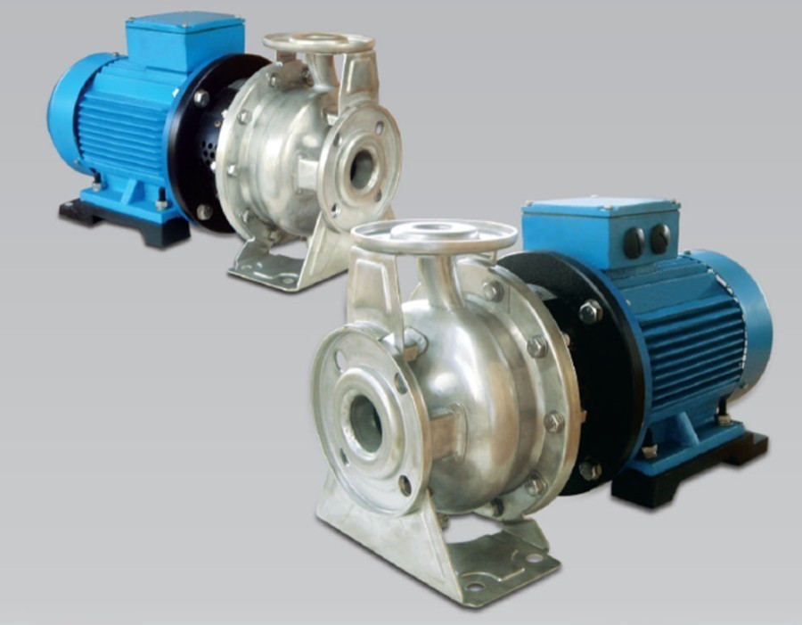 Regaline Centrifugal Pompa SSDA 65-40-160/4.0