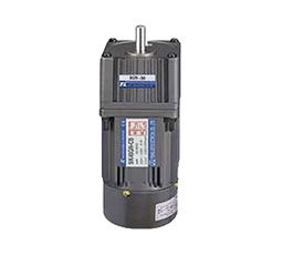 TUNG LEE - ELECTROMAGNETIC BRAKE MOTOR 3 PHASE