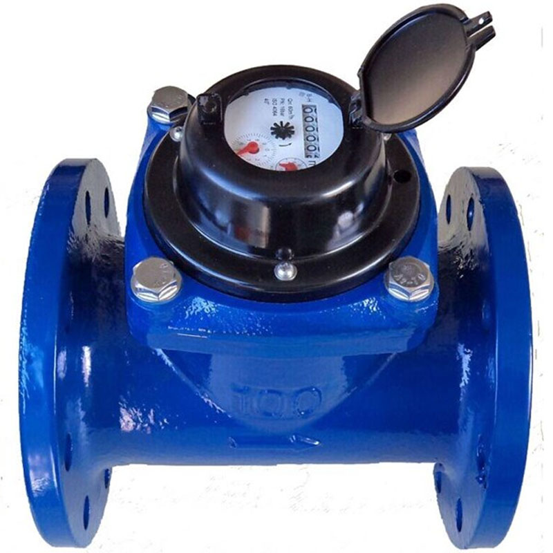 Water Meter Amico LXSG 3in DN 80mm
